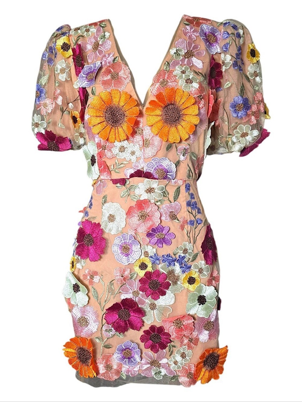 Elliatt Rosalind 3D Floral Applique Embroidered Mini Dress NWT XL